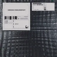 Dnvn — #Brooklynbloodpop! — обложка